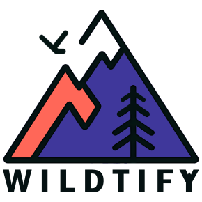 Wildtify
