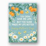 You Didnt Give Me Life But Made Life Better Mothers Day Orange Citrus Fruit Downloadable Sentiment Card